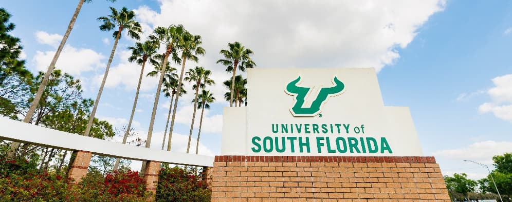 University of South Florida